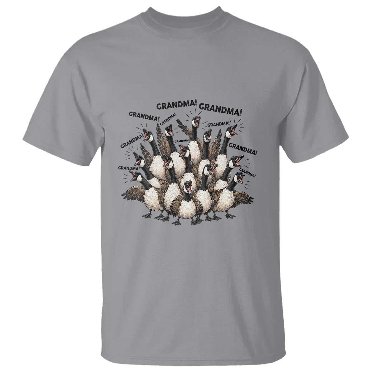 Funny Silly Goose Grandma T Shirt Chaos Coordinator Grandma Life Graphic