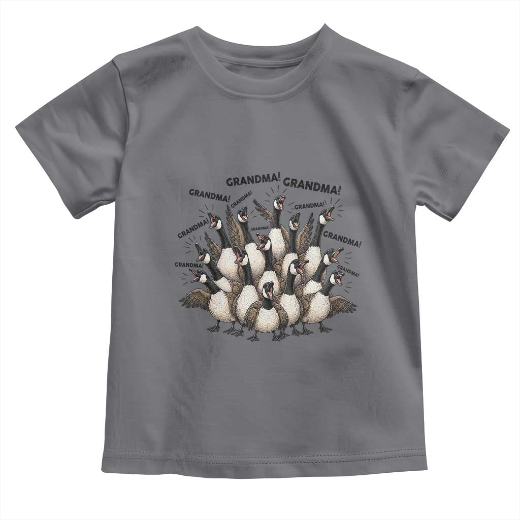 Funny Silly Goose Grandma Toddler T Shirt Chaos Coordinator Grandma Life Graphic