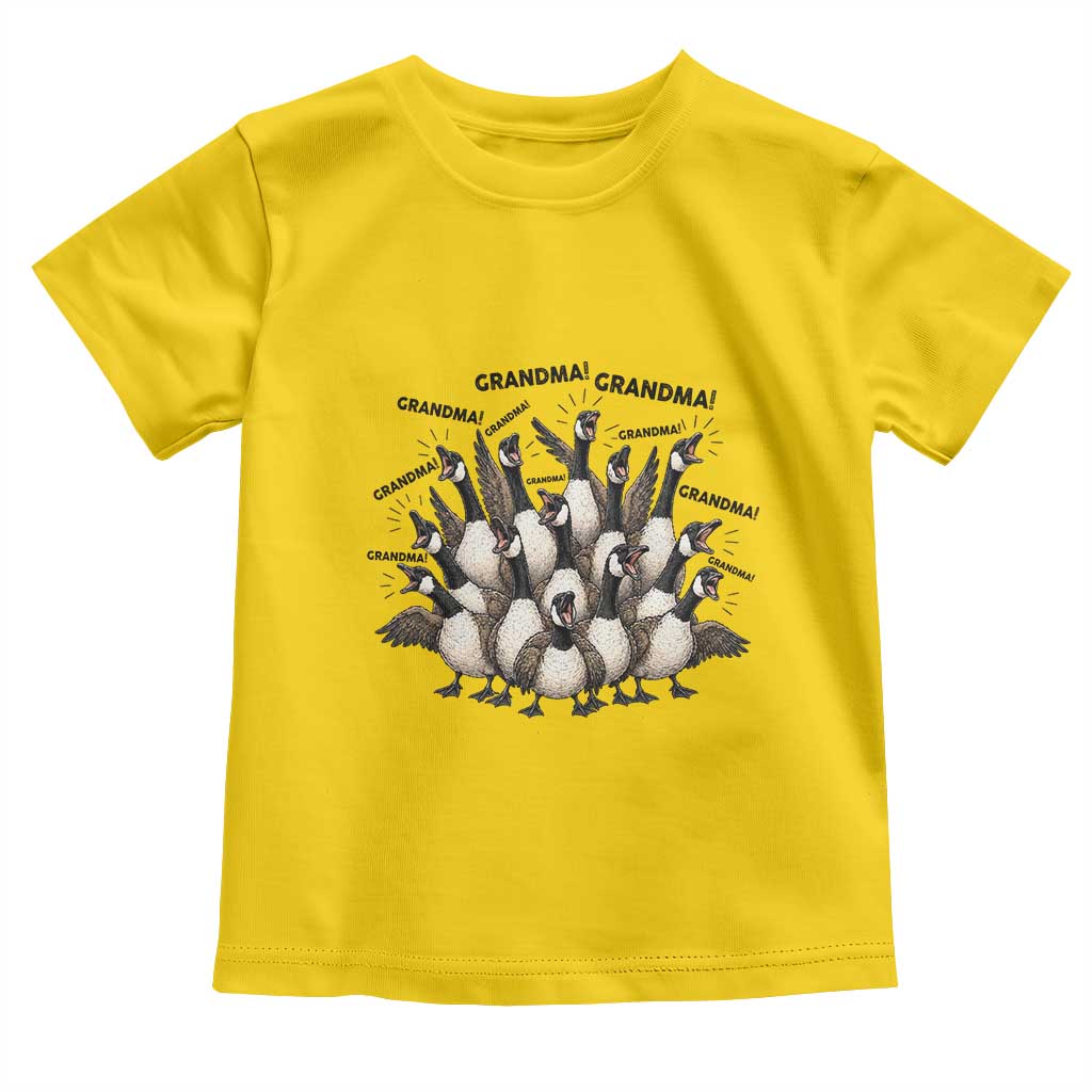 Funny Silly Goose Grandma Toddler T Shirt Chaos Coordinator Grandma Life Graphic