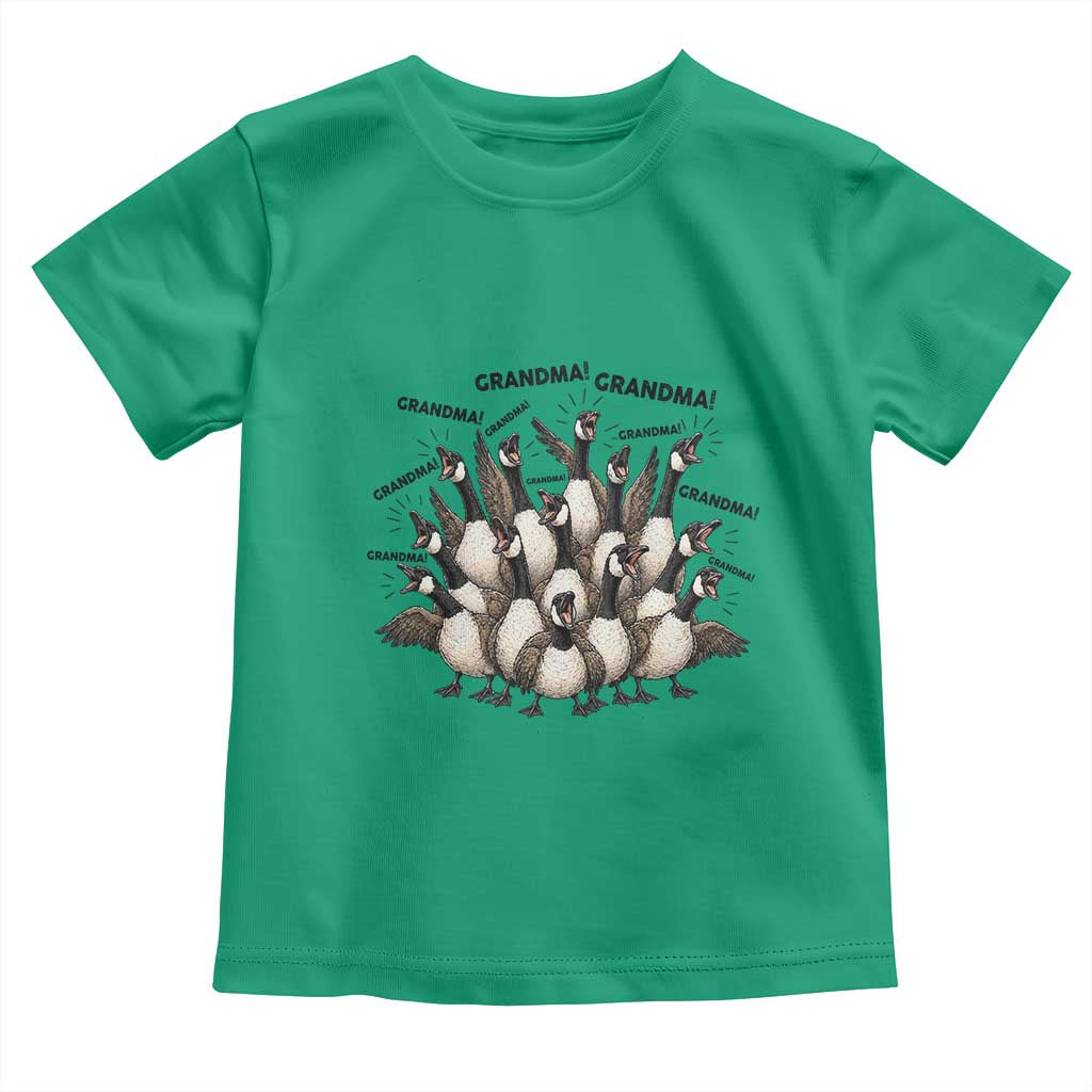 Funny Silly Goose Grandma Toddler T Shirt Chaos Coordinator Grandma Life Graphic