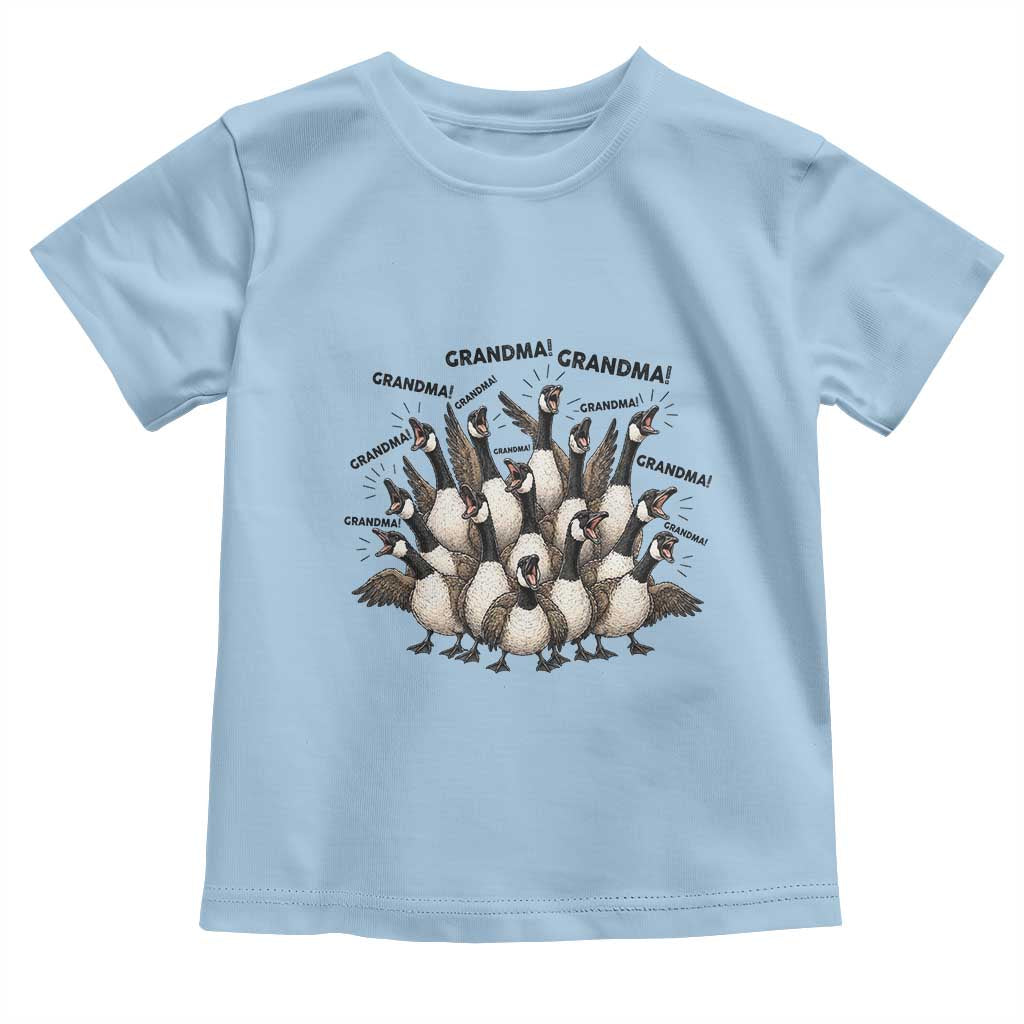 Funny Silly Goose Grandma Toddler T Shirt Chaos Coordinator Grandma Life Graphic