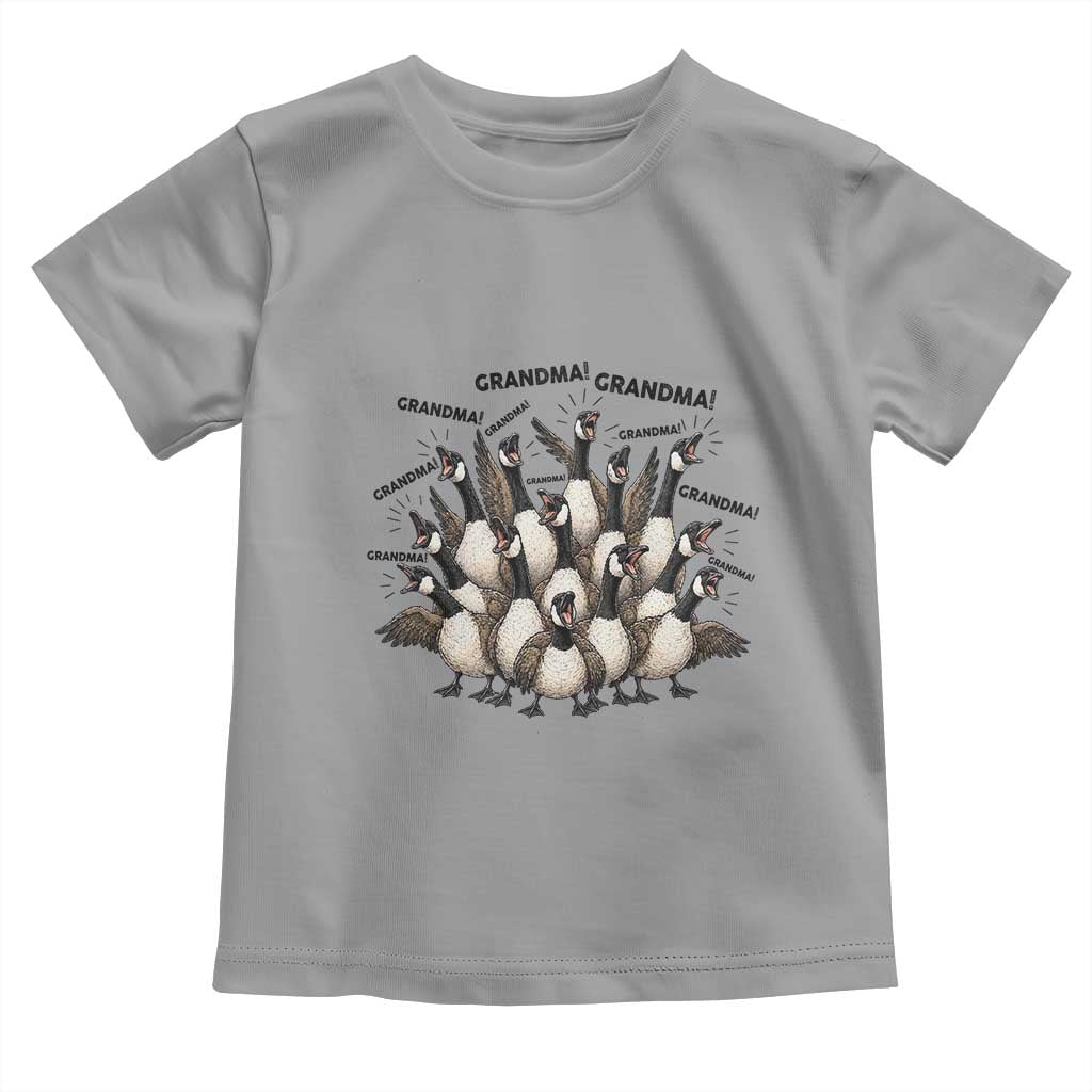 Funny Silly Goose Grandma Toddler T Shirt Chaos Coordinator Grandma Life Graphic
