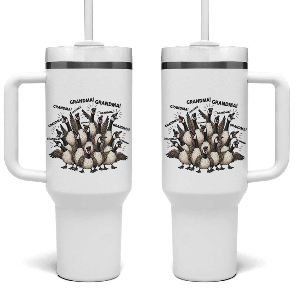 Funny Silly Goose Grandma Tumbler With Handle Chaos Coordinator Grandma Life Graphic