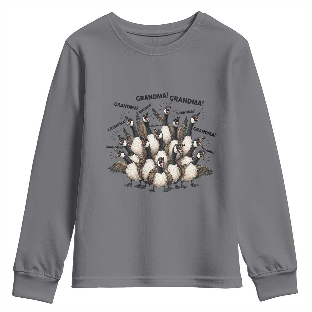 Funny Silly Goose Grandma Youth Sweatshirt Chaos Coordinator Grandma Life Graphic