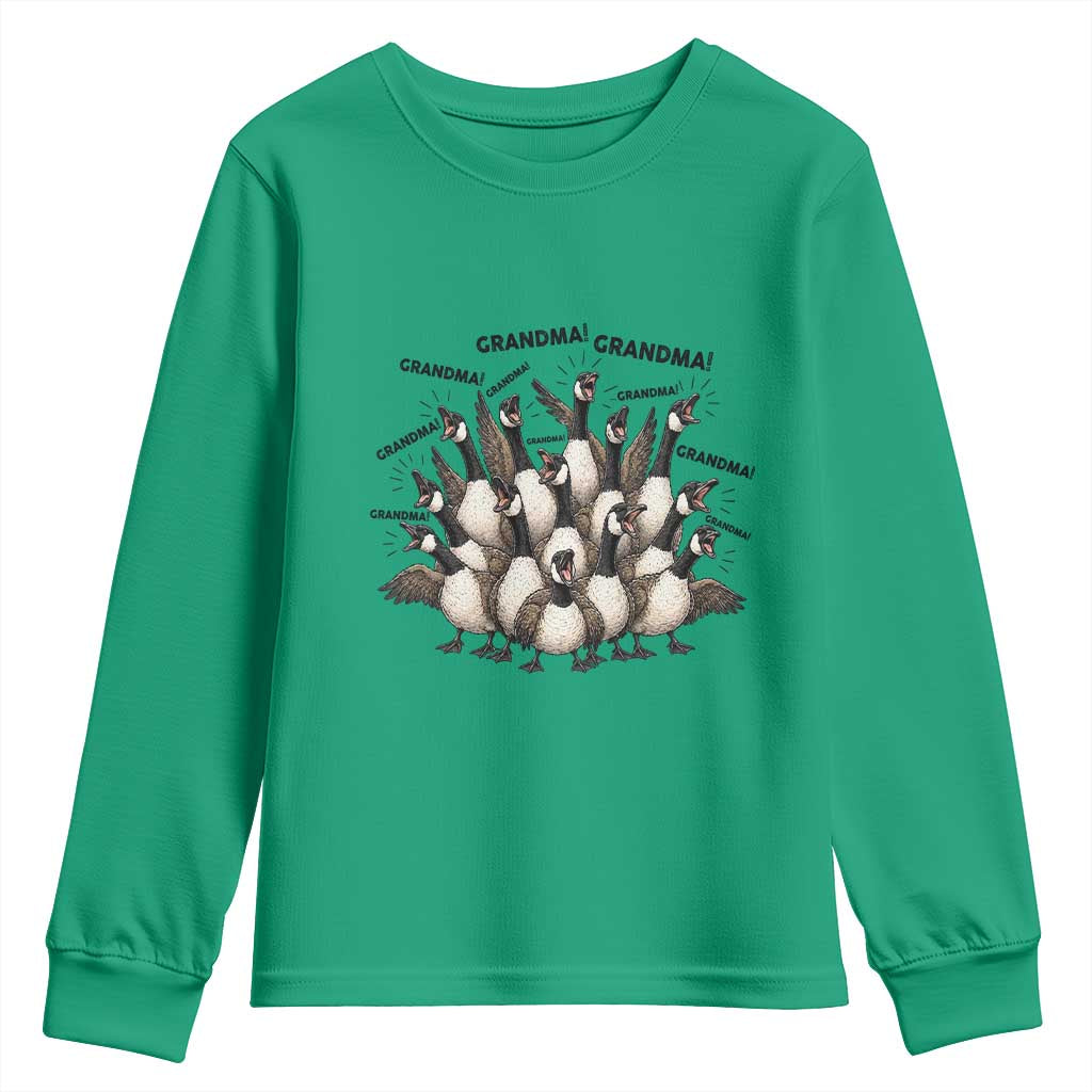 Funny Silly Goose Grandma Youth Sweatshirt Chaos Coordinator Grandma Life Graphic