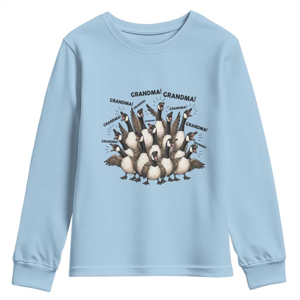 Funny Silly Goose Grandma Youth Sweatshirt Chaos Coordinator Grandma Life Graphic
