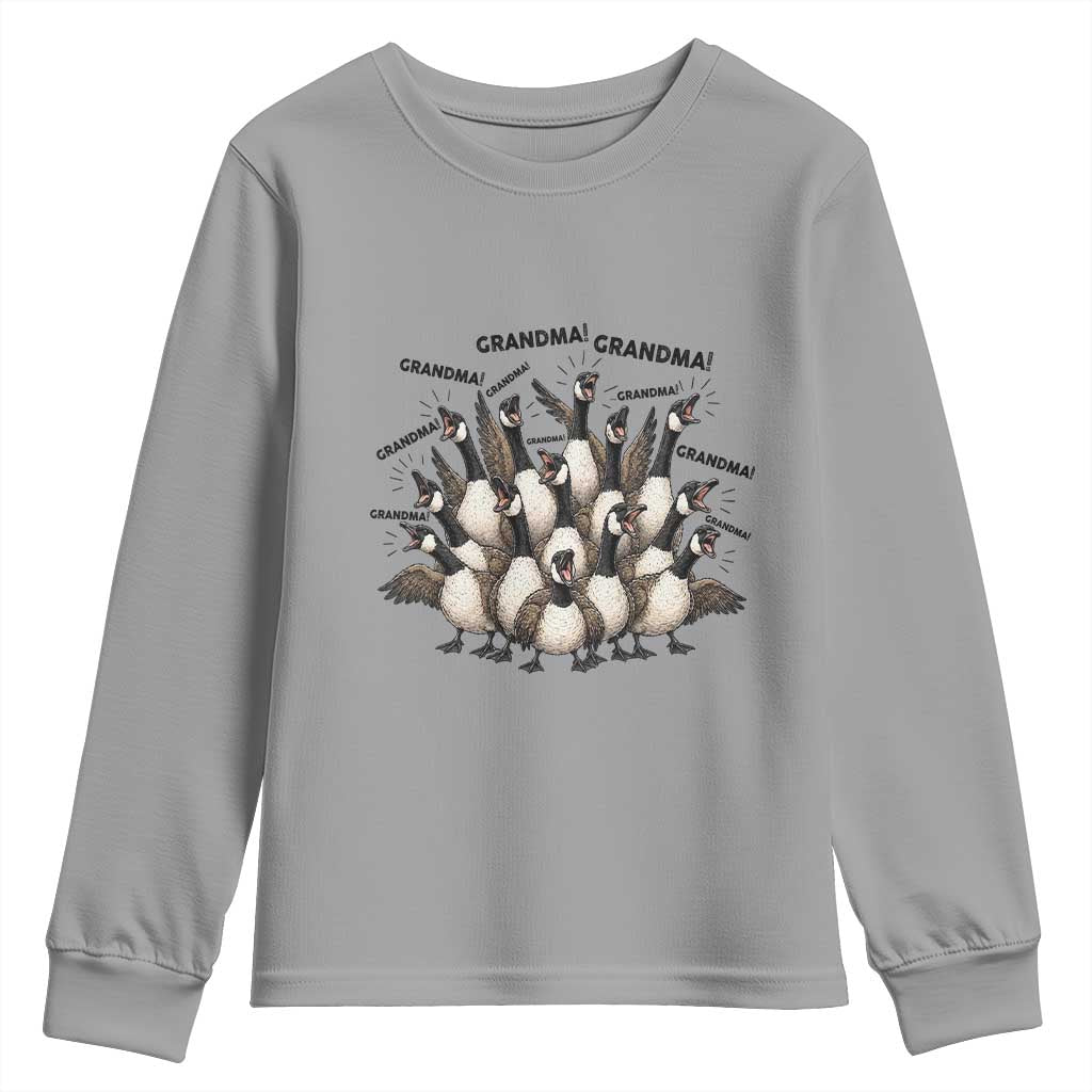 Funny Silly Goose Grandma Youth Sweatshirt Chaos Coordinator Grandma Life Graphic