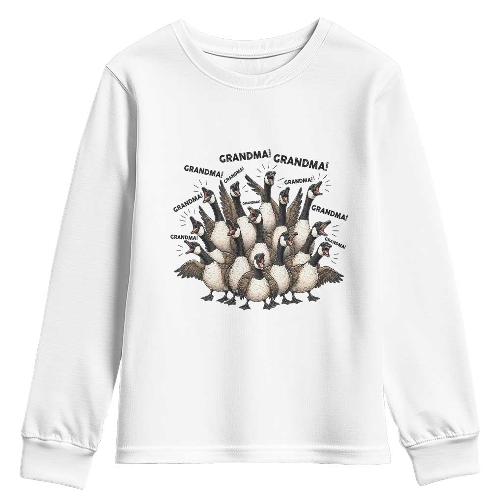 Funny Silly Goose Grandma Youth Sweatshirt Chaos Coordinator Grandma Life Graphic