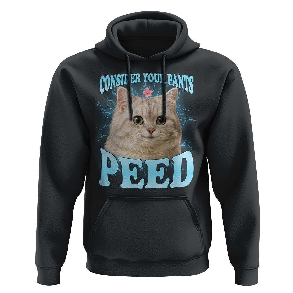 Funny Cat Hoodie Consider Your Pants Peed Meme Saying - Wonder Print Shop