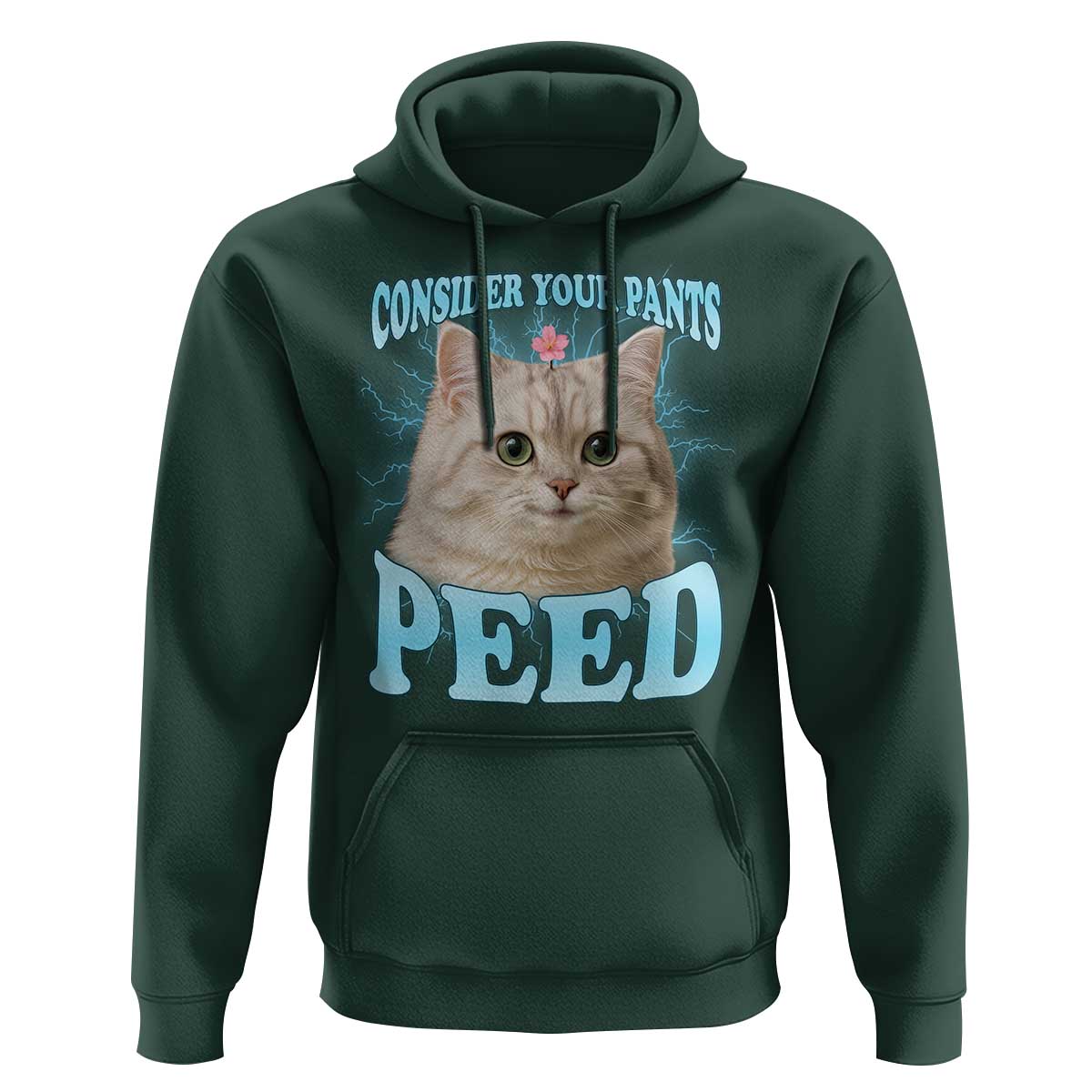 Funny Cat Hoodie Consider Your Pants Peed Meme Saying - Wonder Print Shop