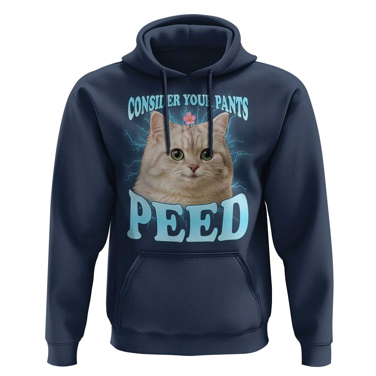 Funny Cat Hoodie Consider Your Pants Peed Meme Saying - Wonder Print Shop