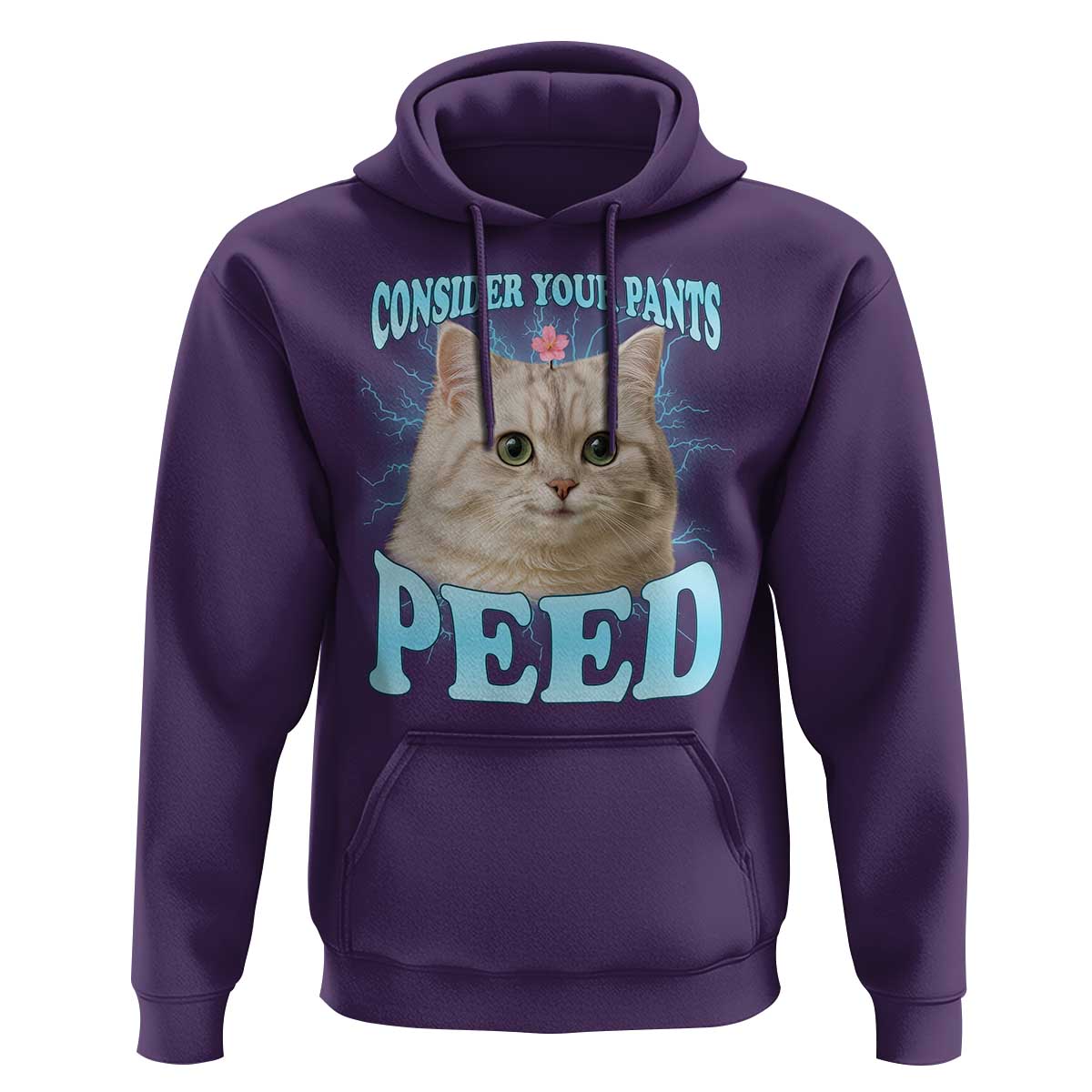 Funny Cat Hoodie Consider Your Pants Peed Meme Saying - Wonder Print Shop