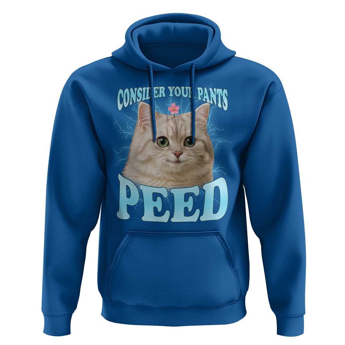 Funny Cat Hoodie Consider Your Pants Peed Meme Saying - Wonder Print Shop