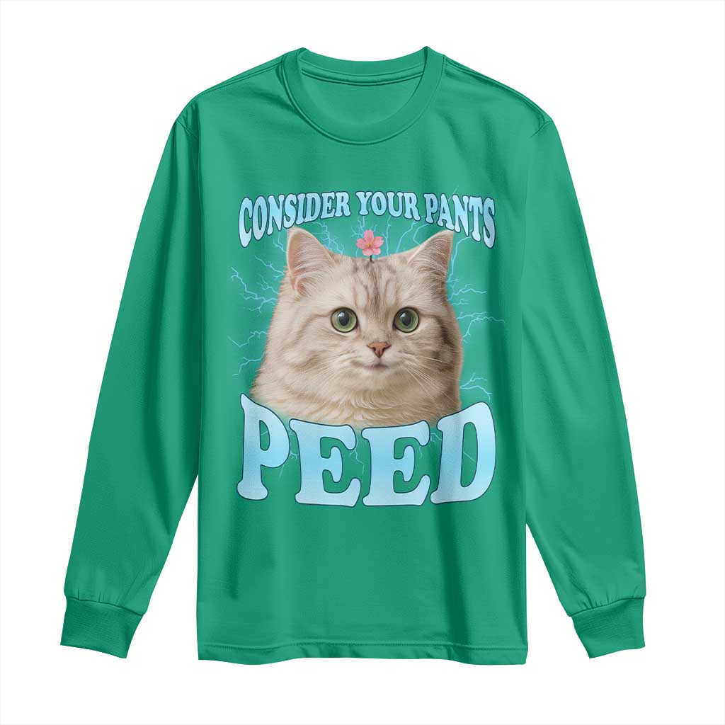 Funny Cat Long Sleeve Shirt Consider Your Pants Peed Meme Saying - Wonder Print Shop