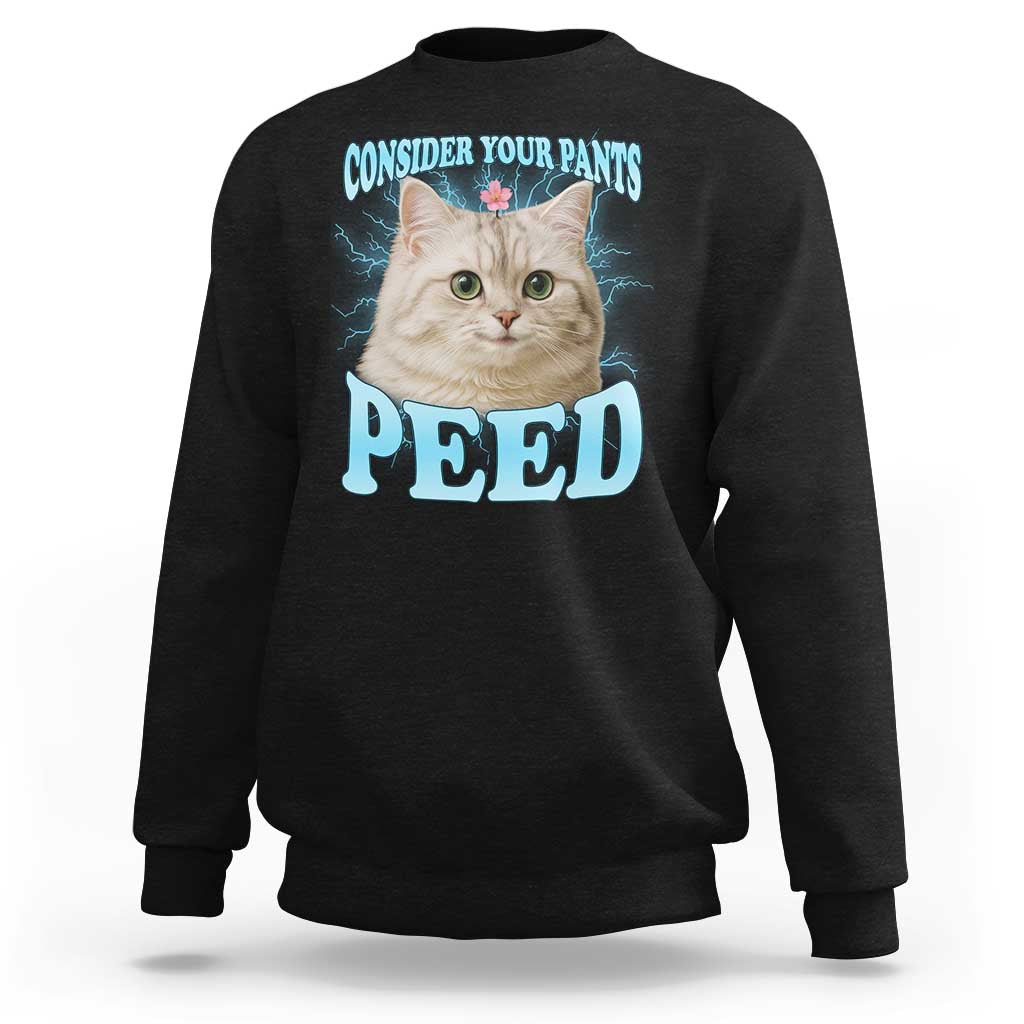 Funny Cat Sweatshirt Consider Your Pants Peed Meme Saying - Wonder Print Shop