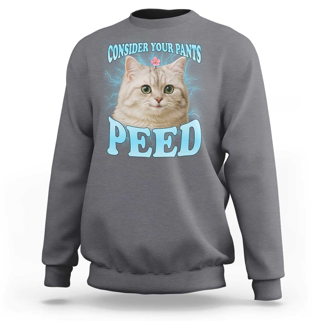 Funny Cat Sweatshirt Consider Your Pants Peed Meme Saying - Wonder Print Shop