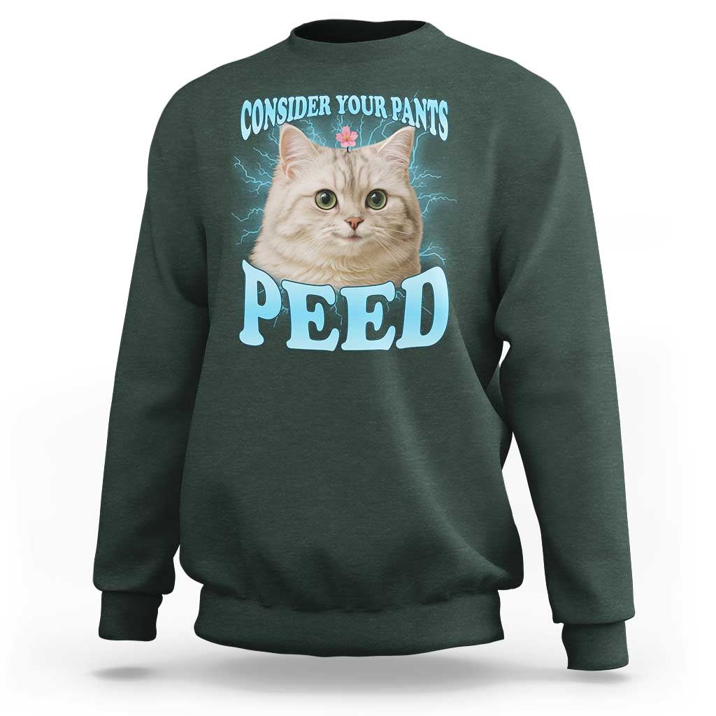 Funny Cat Sweatshirt Consider Your Pants Peed Meme Saying - Wonder Print Shop