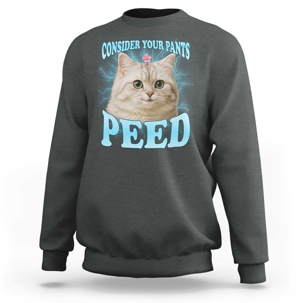 Funny Cat Sweatshirt Consider Your Pants Peed Meme Saying - Wonder Print Shop