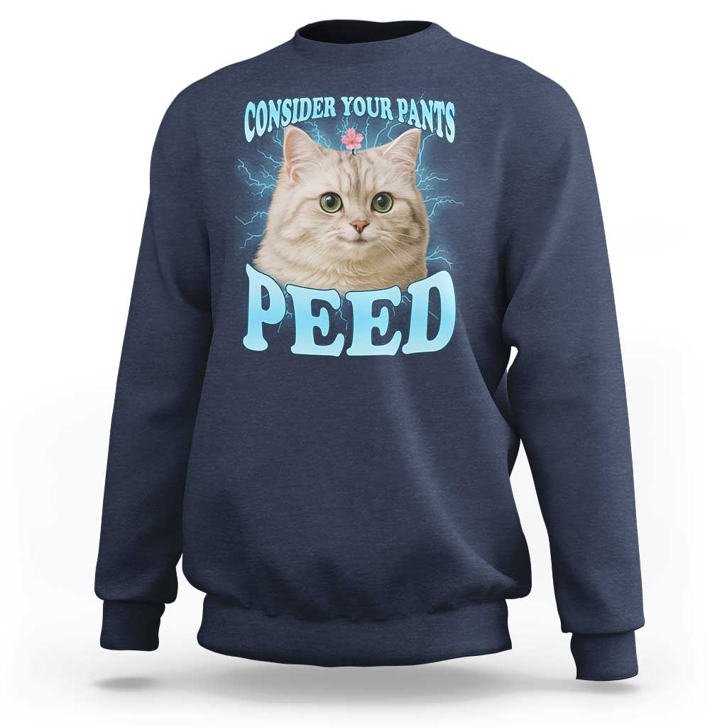 Funny Cat Sweatshirt Consider Your Pants Peed Meme Saying - Wonder Print Shop