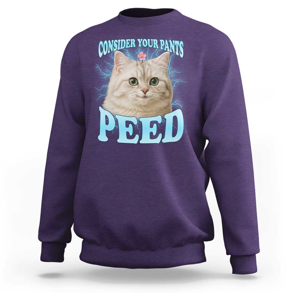Funny Cat Sweatshirt Consider Your Pants Peed Meme Saying - Wonder Print Shop