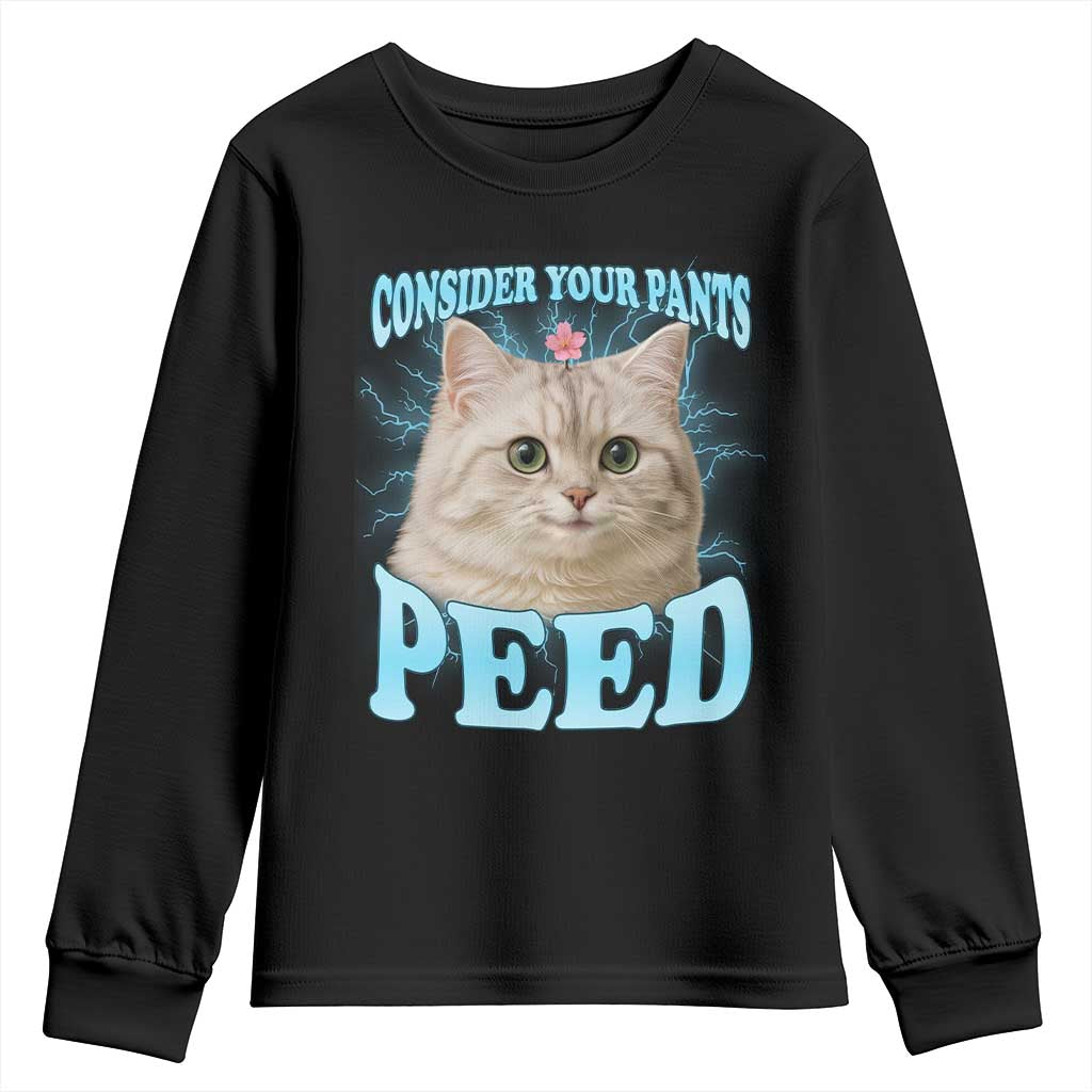 Funny Cat Youth Sweatshirt Consider Your Pants Peed Meme Saying - Wonder Print Shop