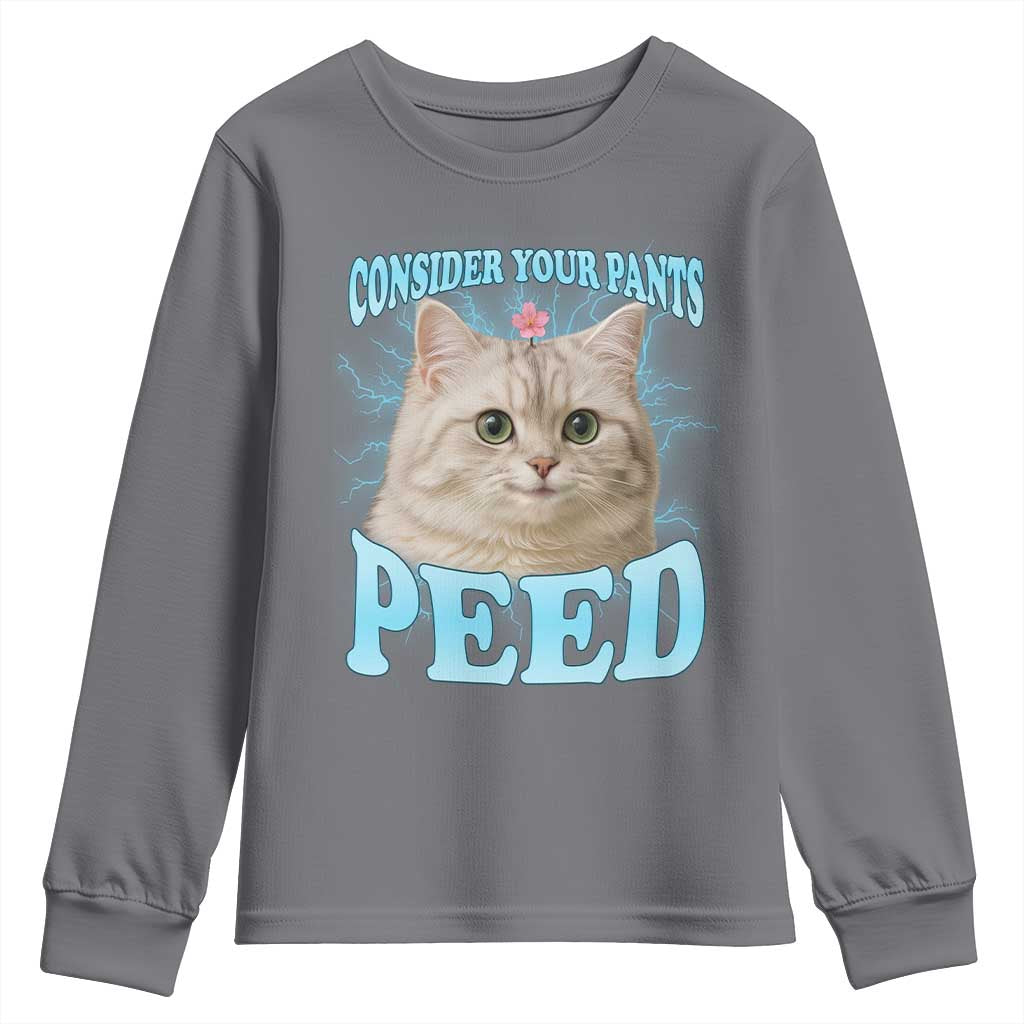 Funny Cat Youth Sweatshirt Consider Your Pants Peed Meme Saying - Wonder Print Shop