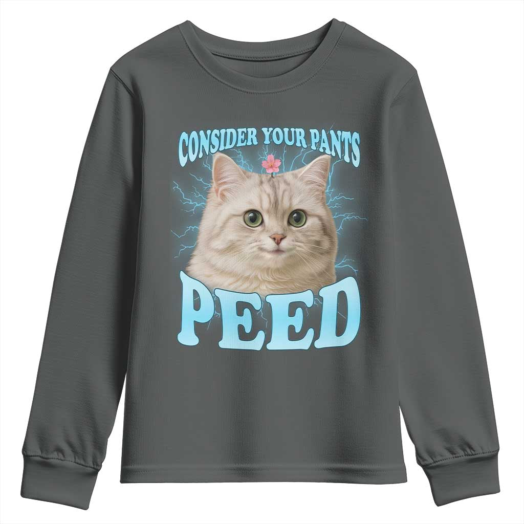 Funny Cat Youth Sweatshirt Consider Your Pants Peed Meme Saying - Wonder Print Shop