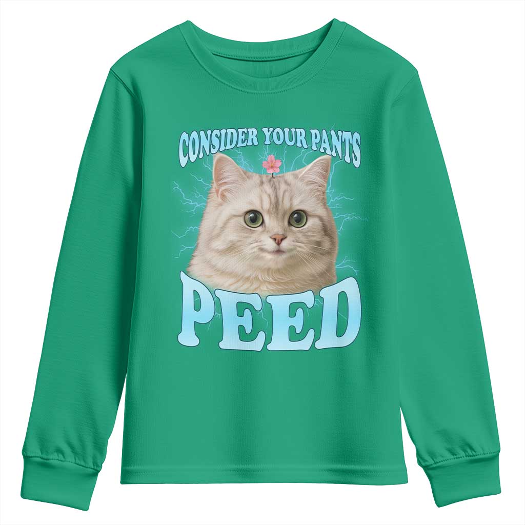Funny Cat Youth Sweatshirt Consider Your Pants Peed Meme Saying - Wonder Print Shop