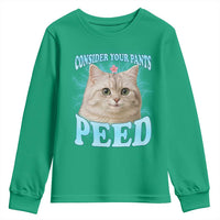 Funny Cat Youth Sweatshirt Consider Your Pants Peed Meme Saying - Wonder Print Shop