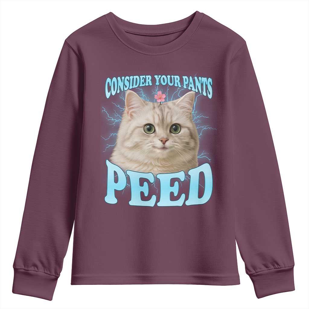 Funny Cat Youth Sweatshirt Consider Your Pants Peed Meme Saying - Wonder Print Shop
