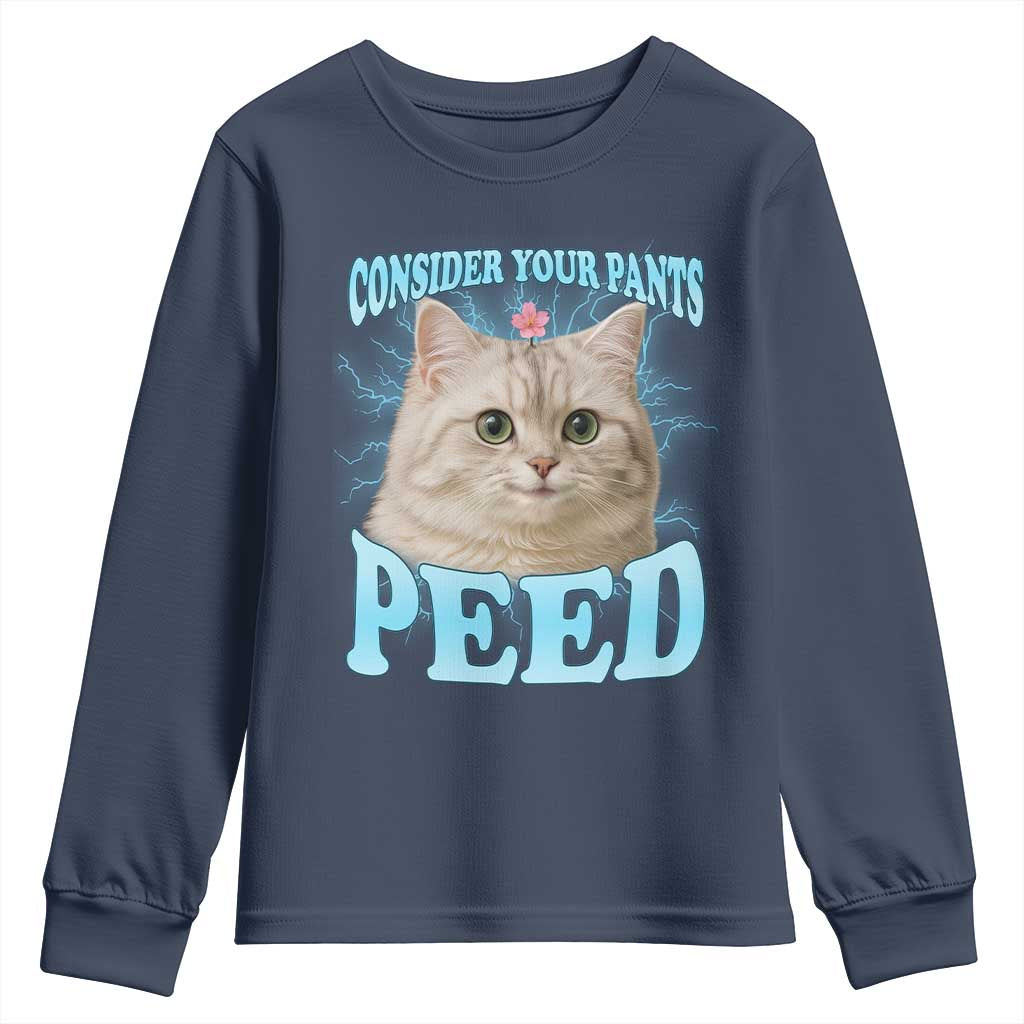 Funny Cat Youth Sweatshirt Consider Your Pants Peed Meme Saying - Wonder Print Shop