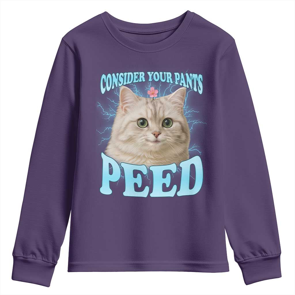 Funny Cat Youth Sweatshirt Consider Your Pants Peed Meme Saying - Wonder Print Shop