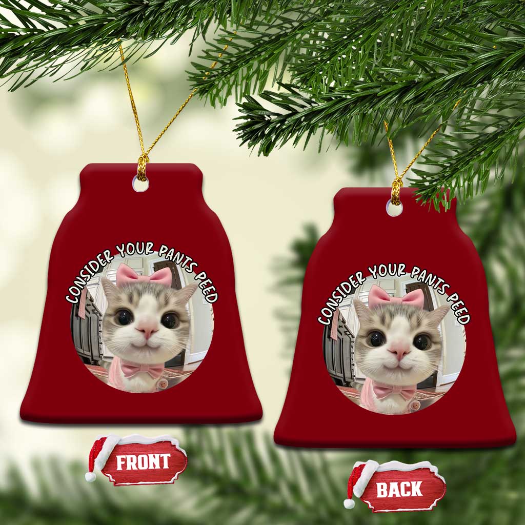 Consider Your Pants Peed Ceramic Ornament Funny Cat Meme Saying - Wonder Print Shop