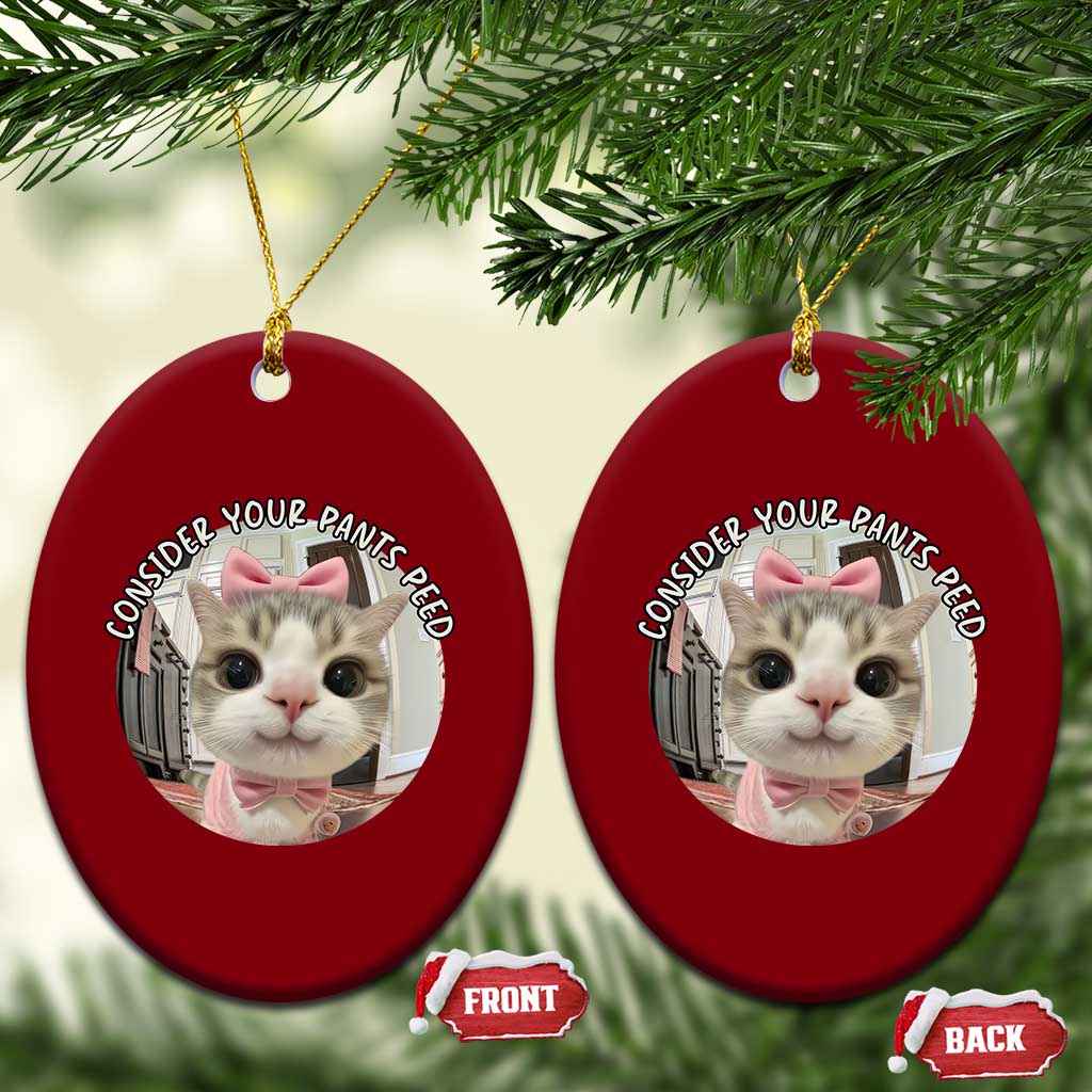Consider Your Pants Peed Ceramic Ornament Funny Cat Meme Saying - Wonder Print Shop