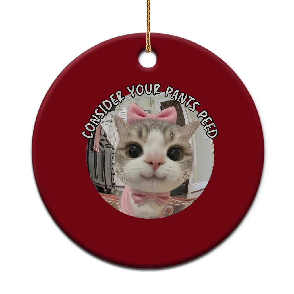 Consider Your Pants Peed Ceramic Ornament Funny Cat Meme Saying - Wonder Print Shop