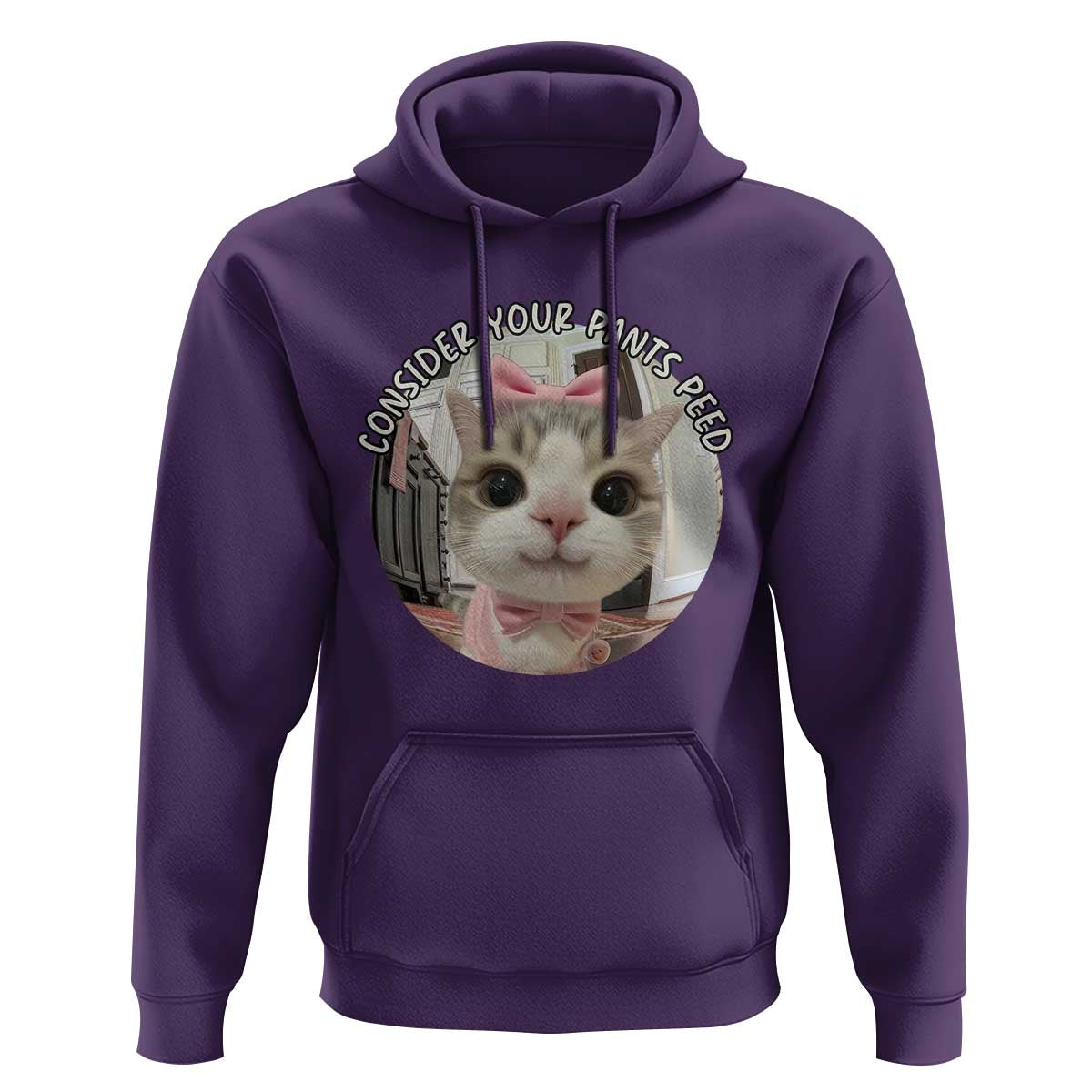 Consider Your Pants Peed Hoodie Funny Cat Meme Saying - Wonder Print Shop
