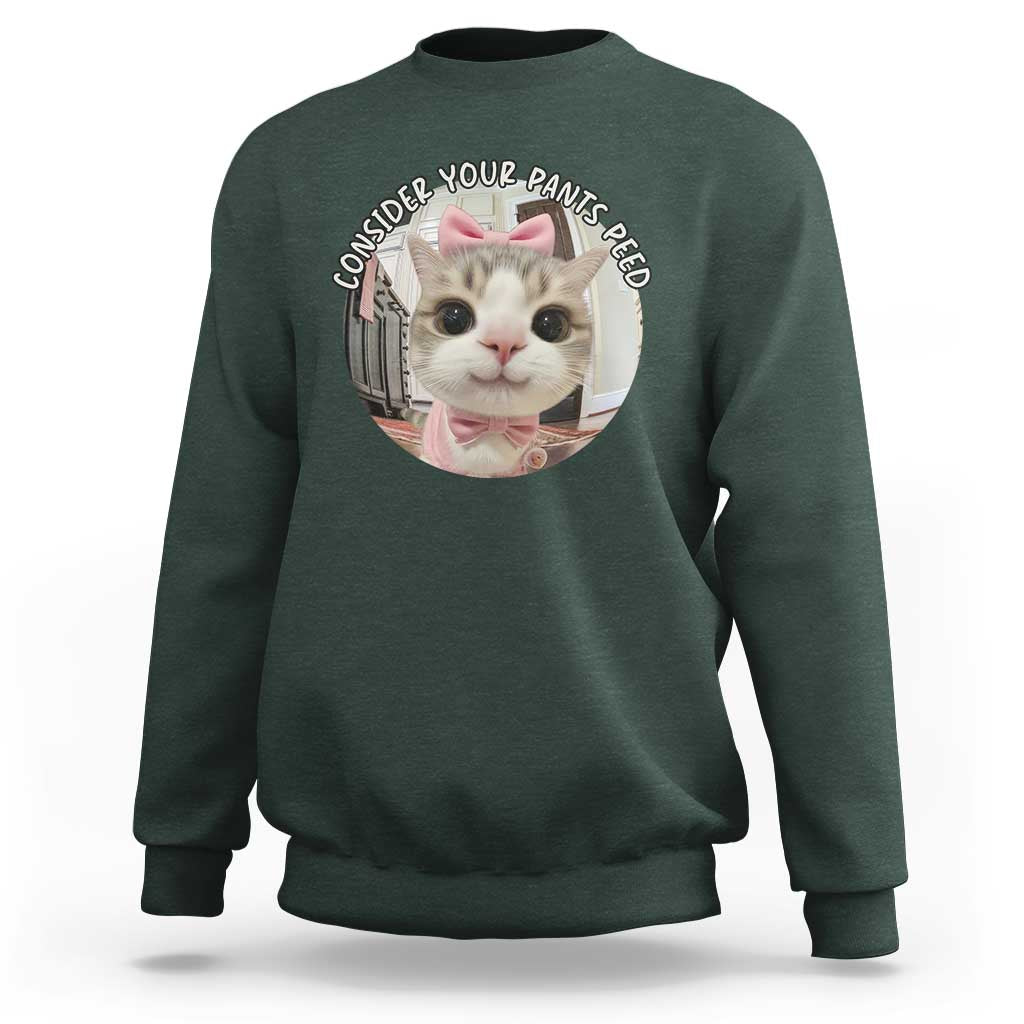 Consider Your Pants Peed Sweatshirt Funny Cat Meme Saying - Wonder Print Shop