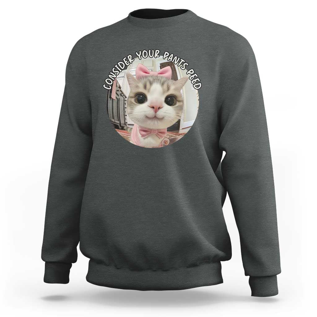 Consider Your Pants Peed Sweatshirt Funny Cat Meme Saying - Wonder Print Shop