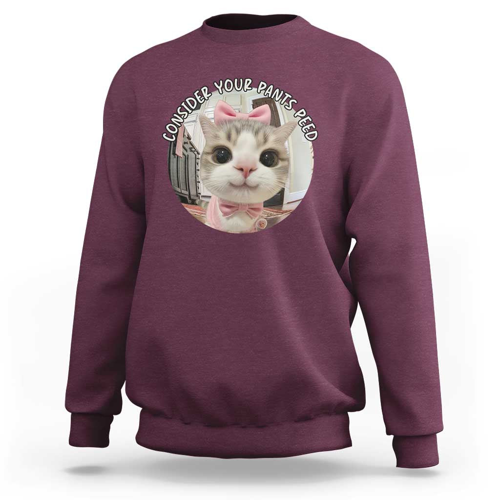 Consider Your Pants Peed Sweatshirt Funny Cat Meme Saying - Wonder Print Shop