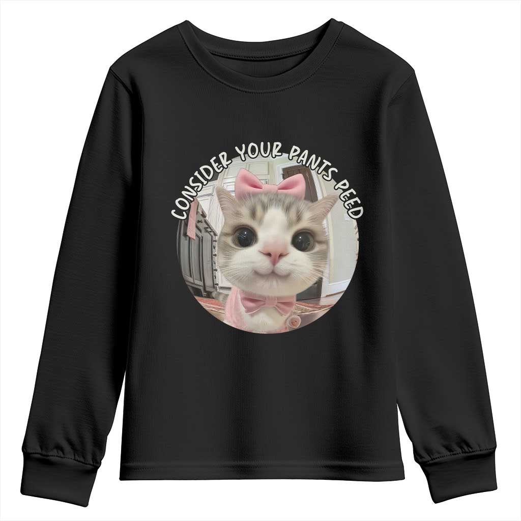 Consider Your Pants Peed Youth Sweatshirt Funny Cat Meme Saying - Wonder Print Shop