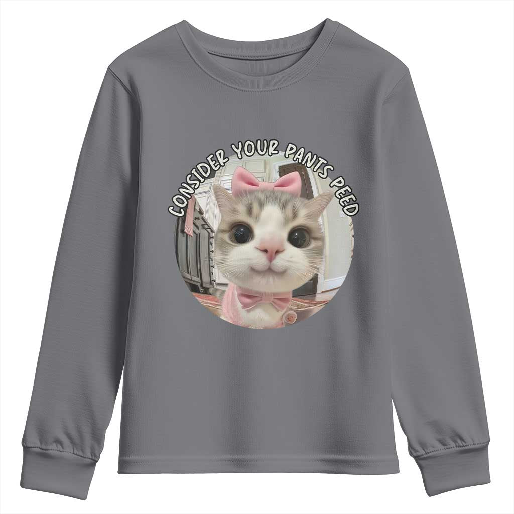 Consider Your Pants Peed Youth Sweatshirt Funny Cat Meme Saying - Wonder Print Shop