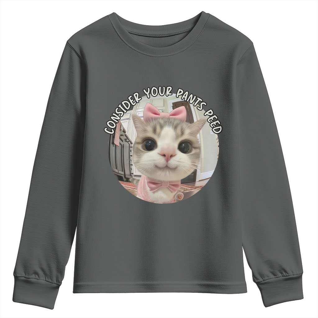 Consider Your Pants Peed Youth Sweatshirt Funny Cat Meme Saying - Wonder Print Shop