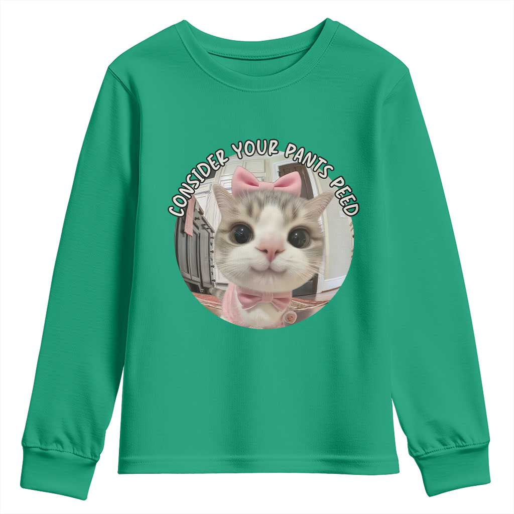 Consider Your Pants Peed Youth Sweatshirt Funny Cat Meme Saying - Wonder Print Shop