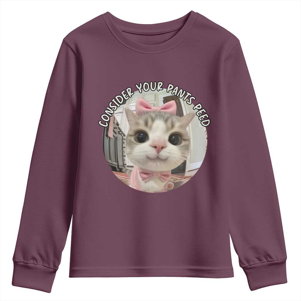 Consider Your Pants Peed Youth Sweatshirt Funny Cat Meme Saying - Wonder Print Shop