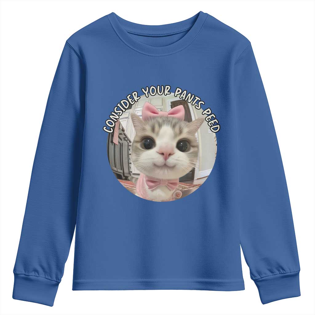 Consider Your Pants Peed Youth Sweatshirt Funny Cat Meme Saying - Wonder Print Shop