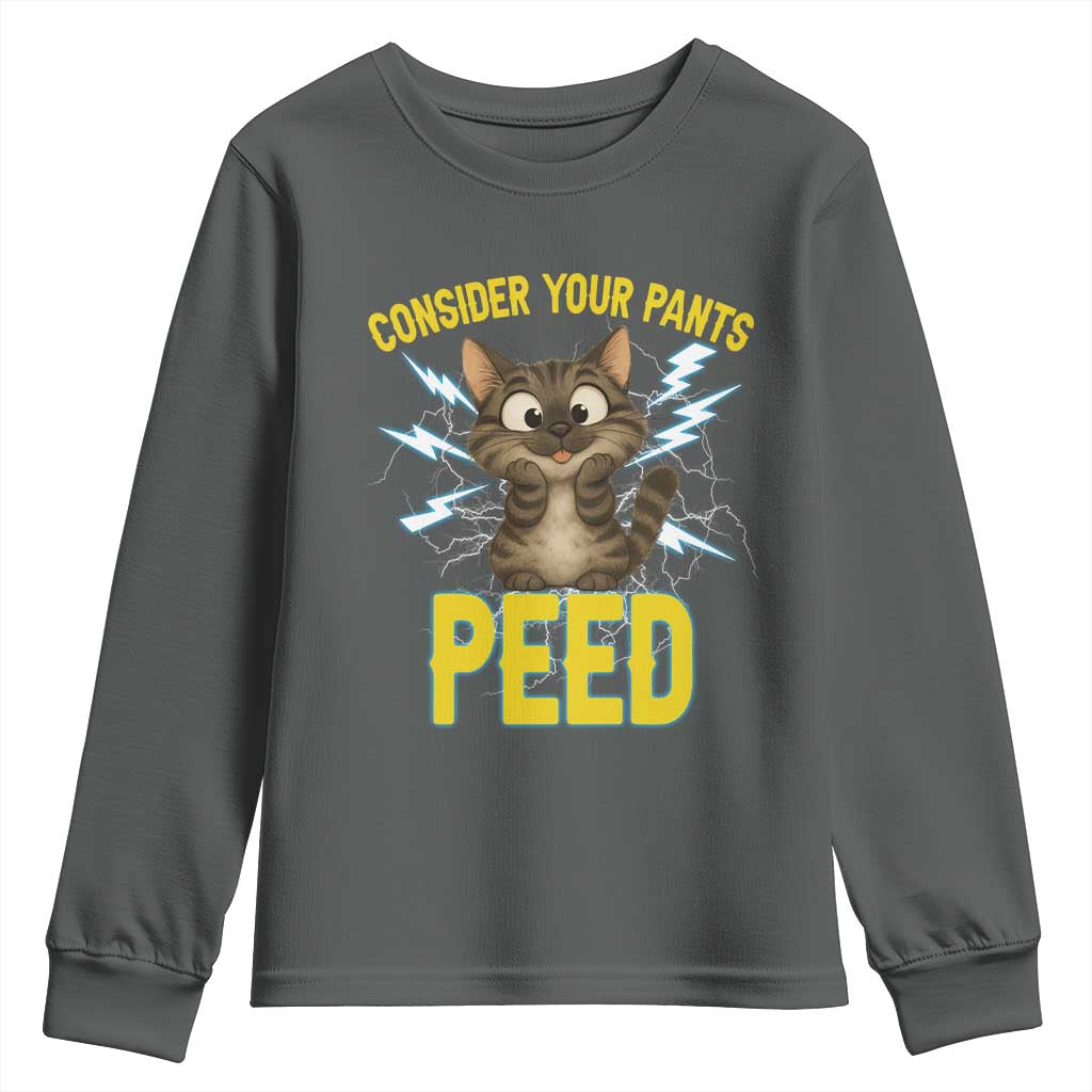 Funny Cat Lover Youth Sweatshirt Consider Your Pants Peed Quote - Wonder Print Shop
