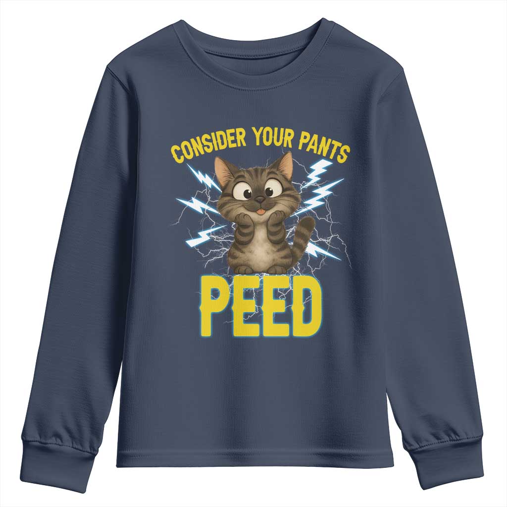 Funny Cat Lover Youth Sweatshirt Consider Your Pants Peed Quote - Wonder Print Shop