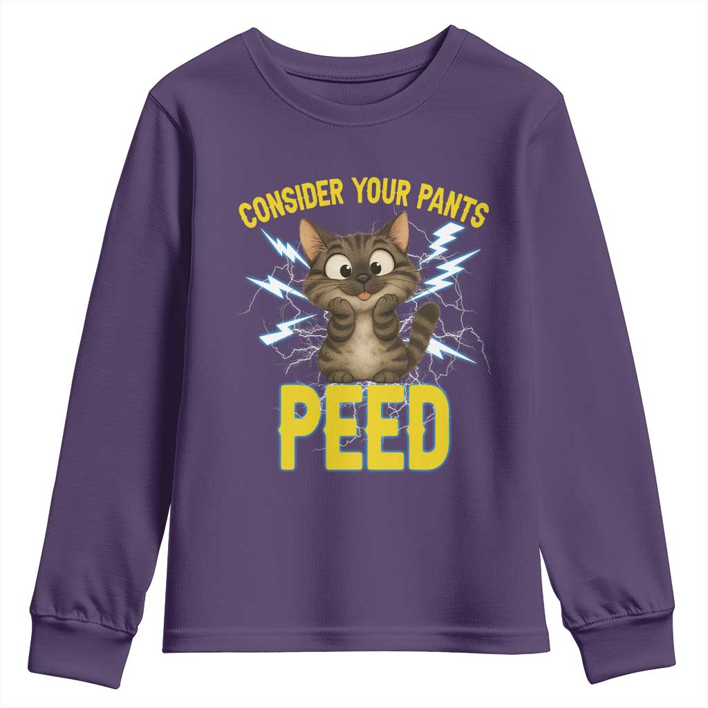 Funny Cat Lover Youth Sweatshirt Consider Your Pants Peed Quote - Wonder Print Shop