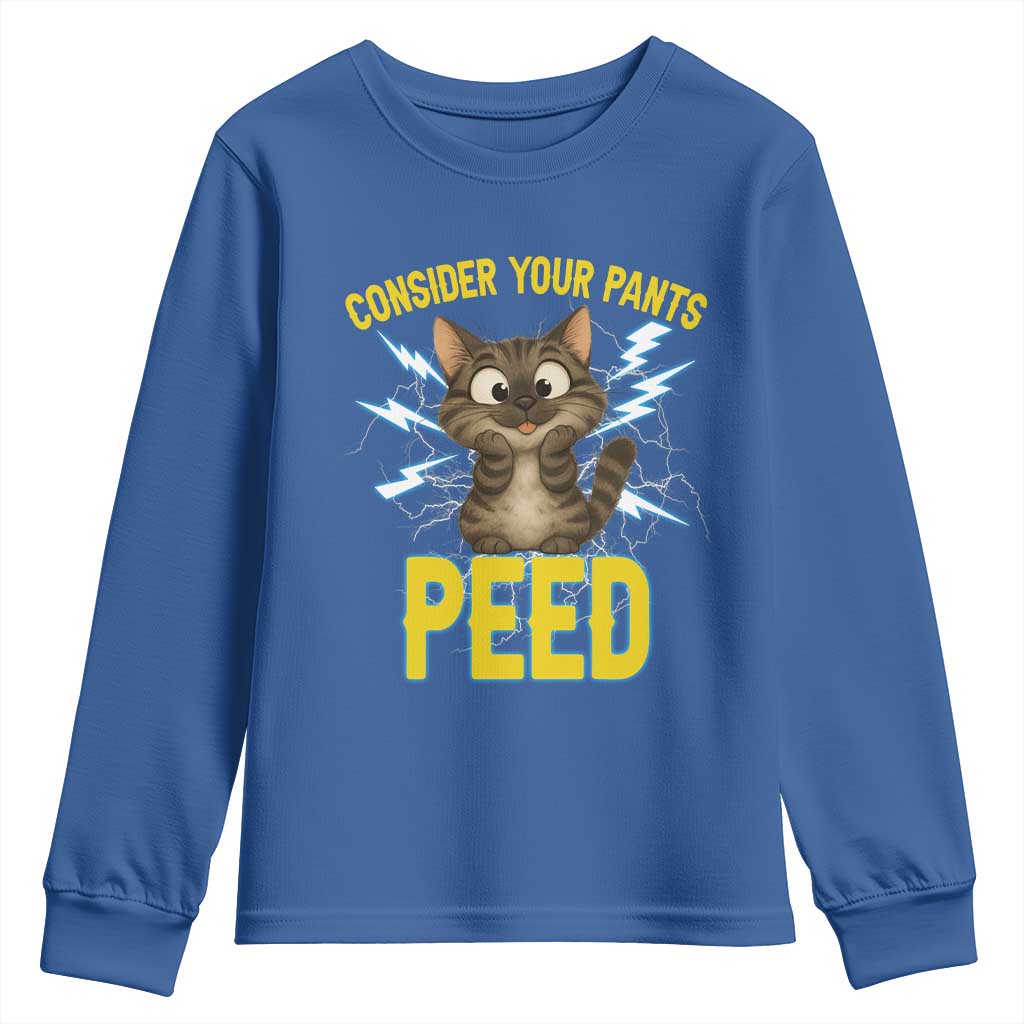 Funny Cat Lover Youth Sweatshirt Consider Your Pants Peed Quote - Wonder Print Shop