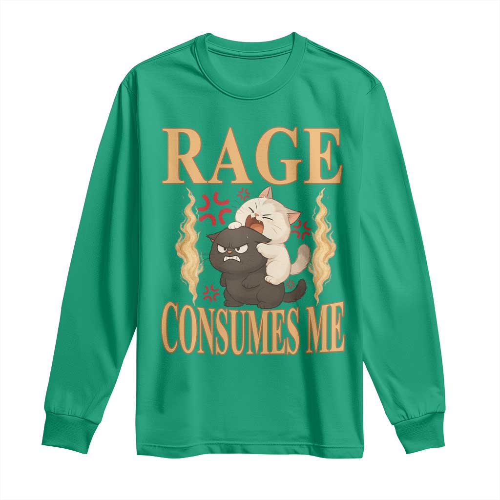 Cute Cat Long Sleeve Shirt Rage Is Consuming Me - Wonder Print Shop